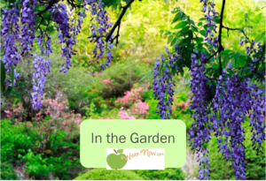 In The Garden